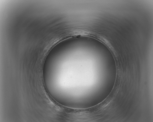 X0000060560433200511101607