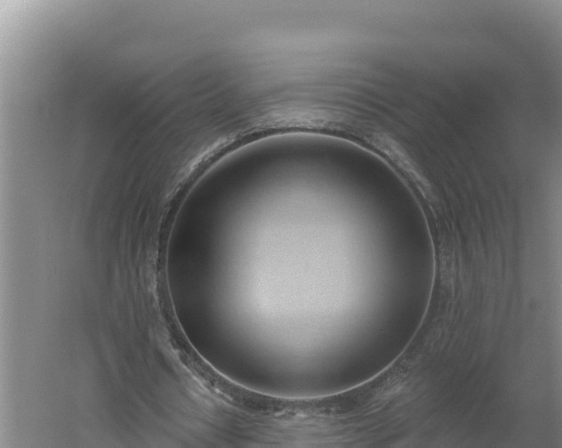 X0000060560434200511101607