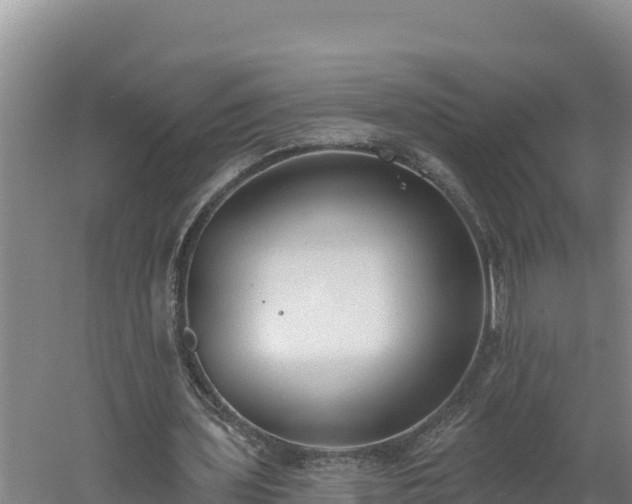 X0000060560435200511101607