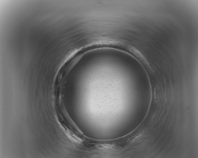 X0000060560436200511101607