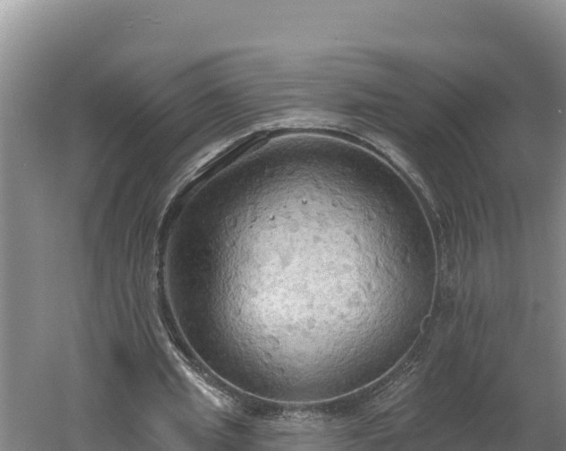 X0000060560437200511101607