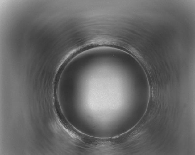 X0000060560438200511101607