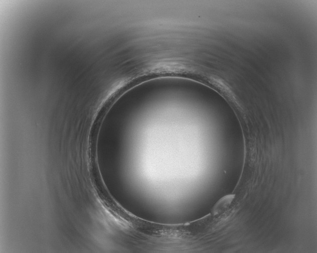 X0000060560439200511101607