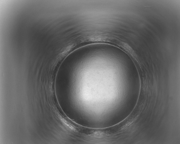 X0000060560441200511101607