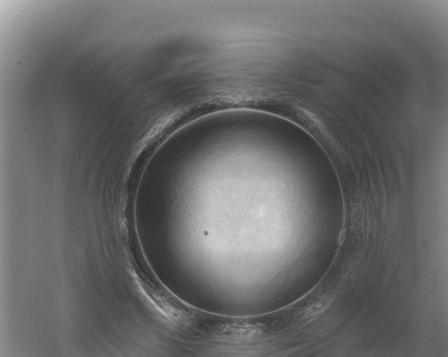 X0000060560443200511101607