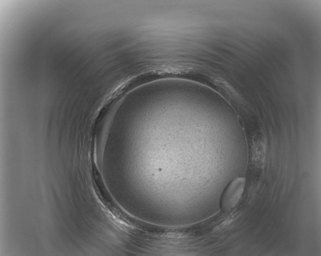 X0000060560444200511101607