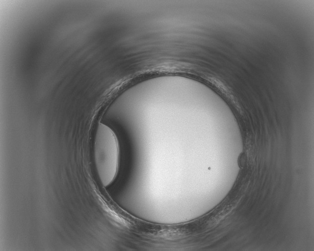 X0000060560445200511101607