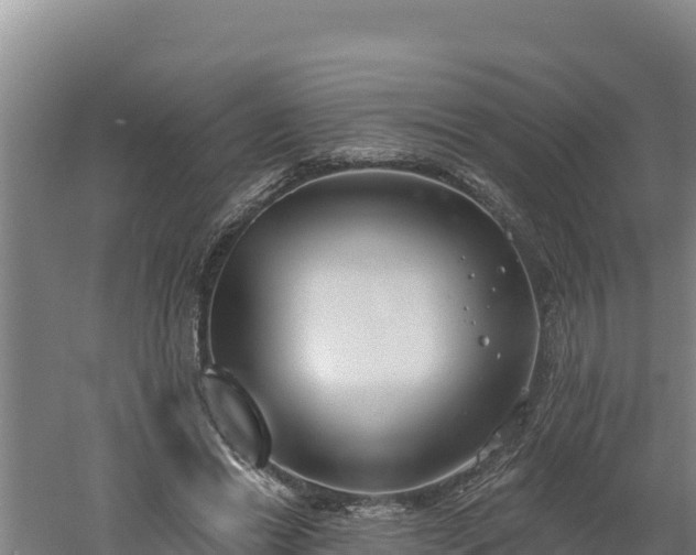 X0000060560446200511101608