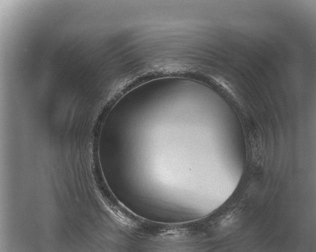 X0000060560447200511101608