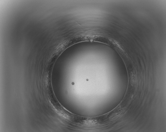 X0000060560451200511101608