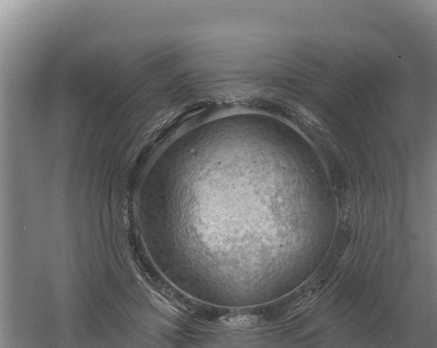 X0000060560452200511101608