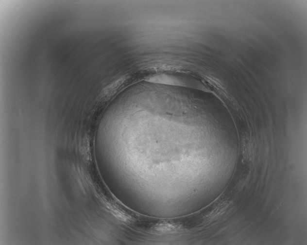 X0000060560453200511101608