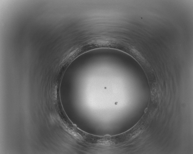 X0000060560454200511101608