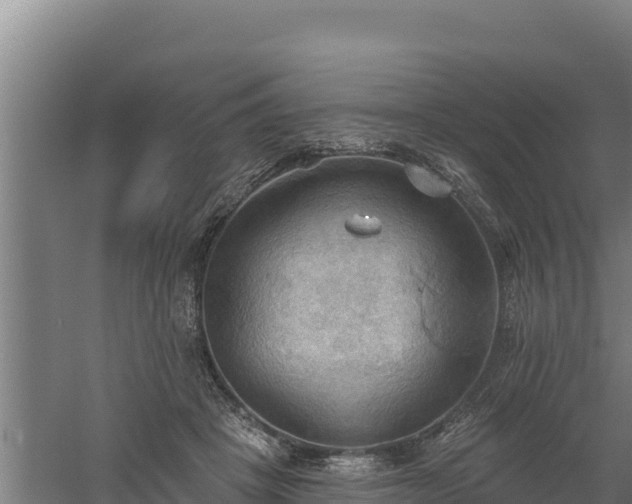 X0000060560457200511101608