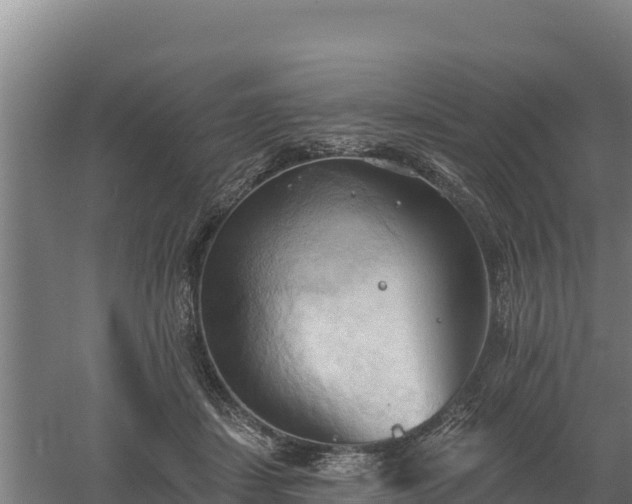 X0000060560459200511101608