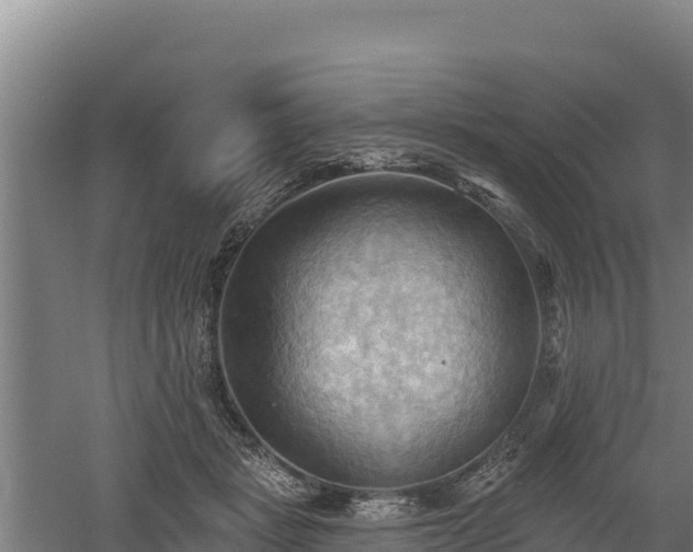 X0000060560461200511101608