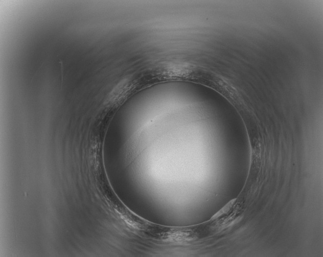 X0000060560462200511101608