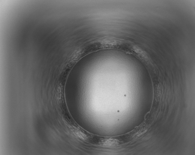 X0000060560463200511101608