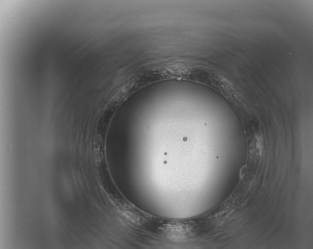 X0000060560464200511101608