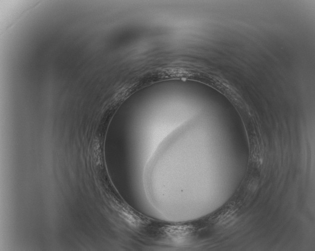 X0000060560465200511101608