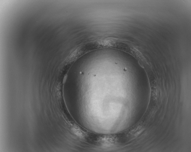 X0000060560466200511101608