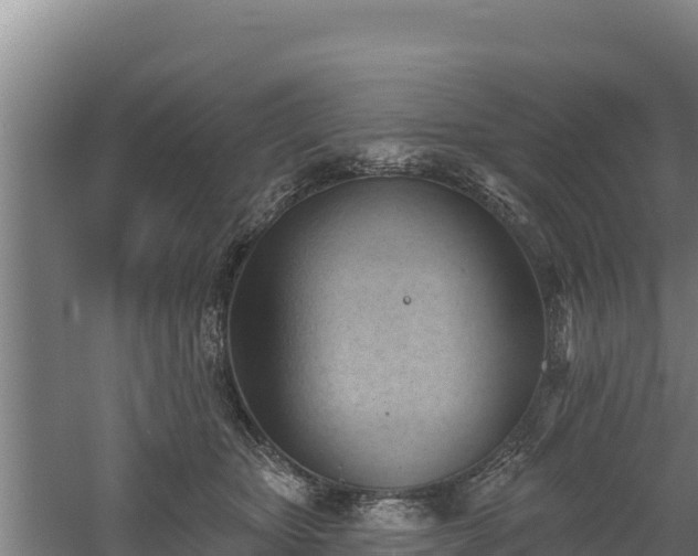 X0000060560467200511101608