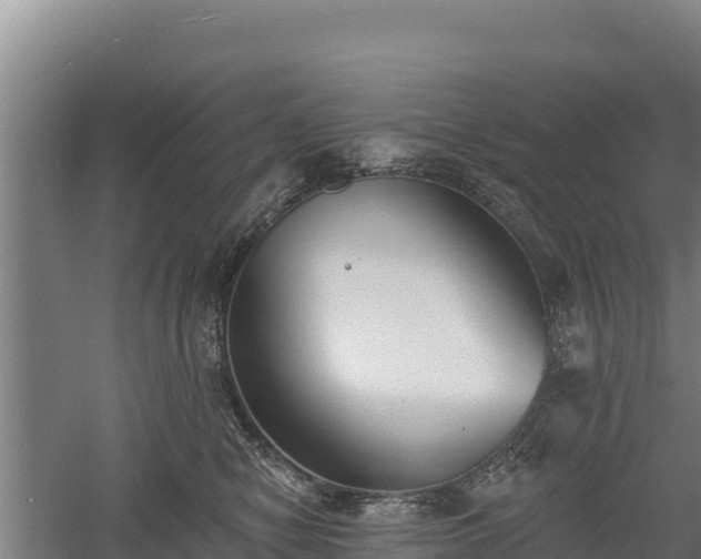 X0000060560470200511101608