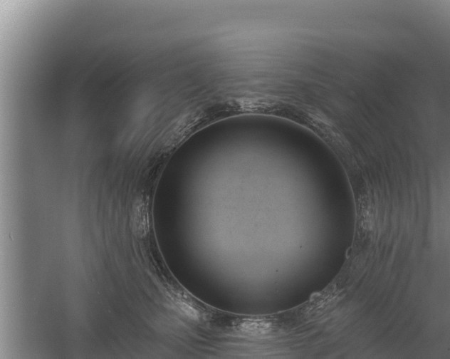 X0000060560471200511101608