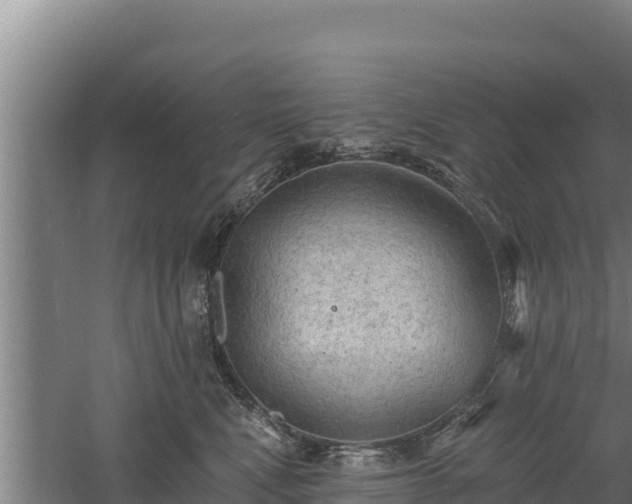 X0000060560472200511101608