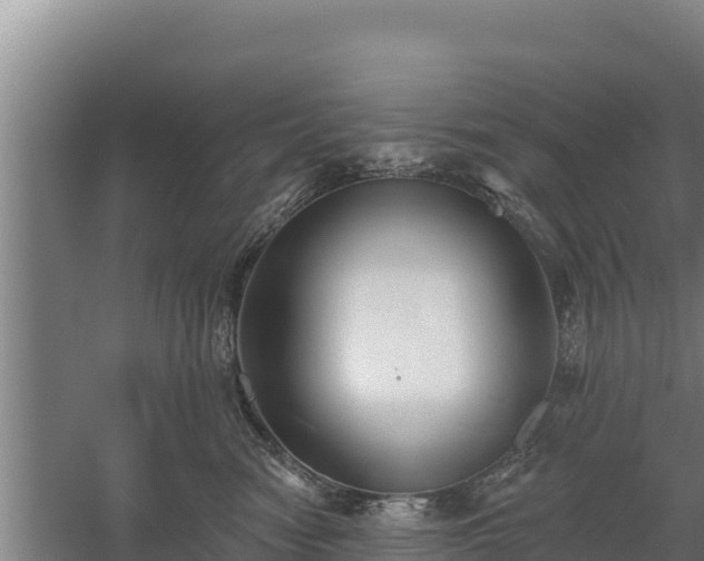 X0000060560474200511101608