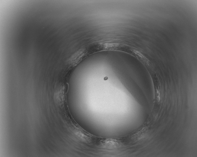 X0000060560475200511101608