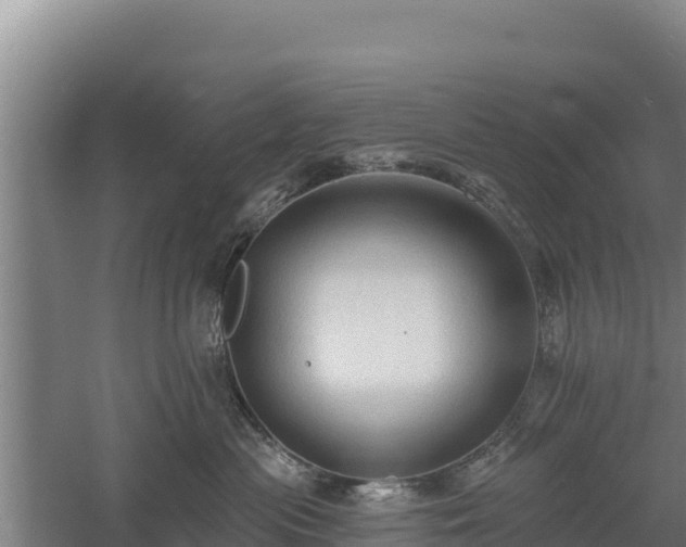 X0000060560477200511101608