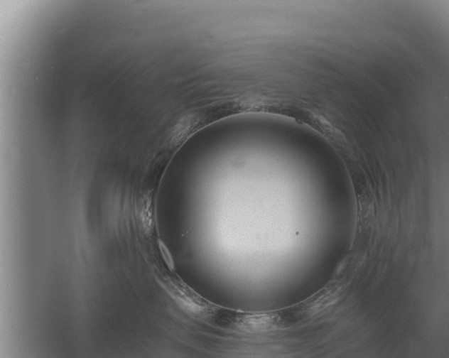 X0000060560479200511101608