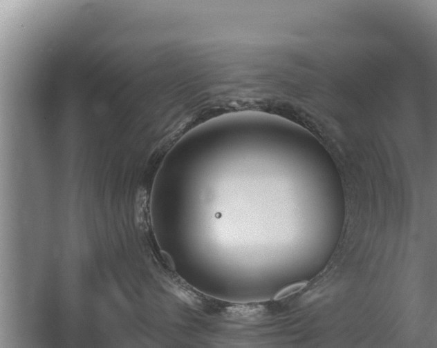 X0000060560480200511101608