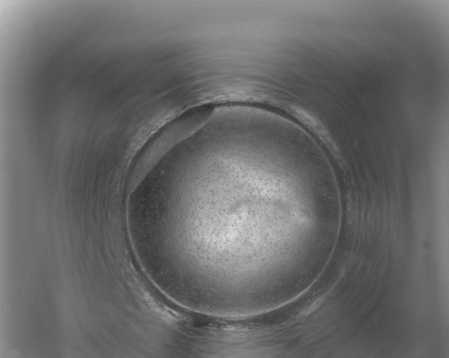 X0000060560481200511101607