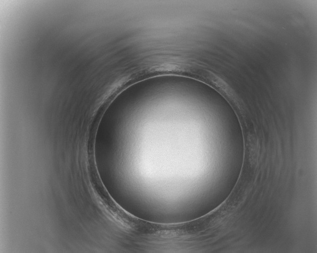 X0000060560482200511101607