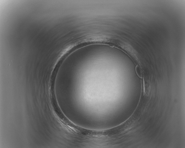 X0000060560483200511101607