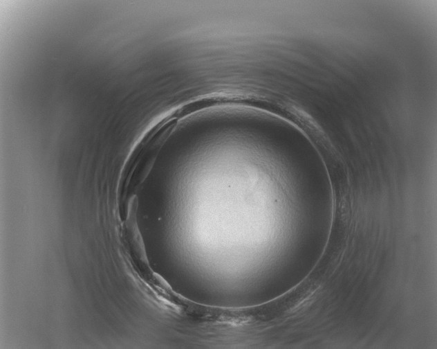 X0000060560484200511101607