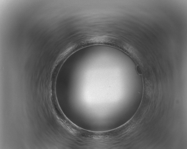 X0000060560486200511101607