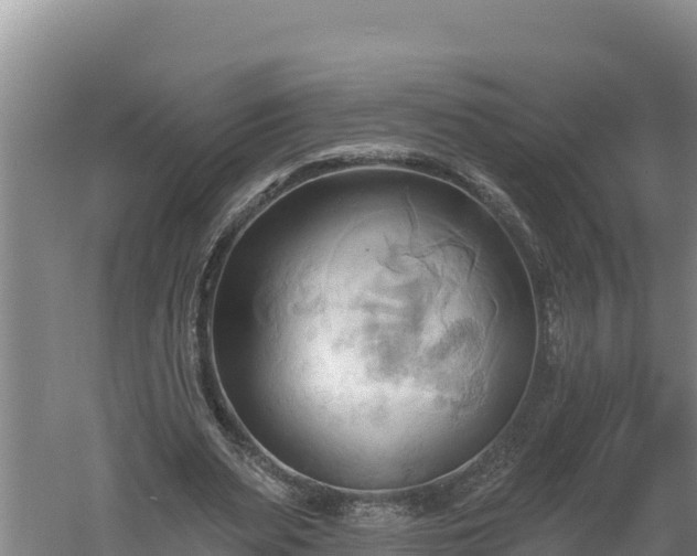 X0000060560487200511101607