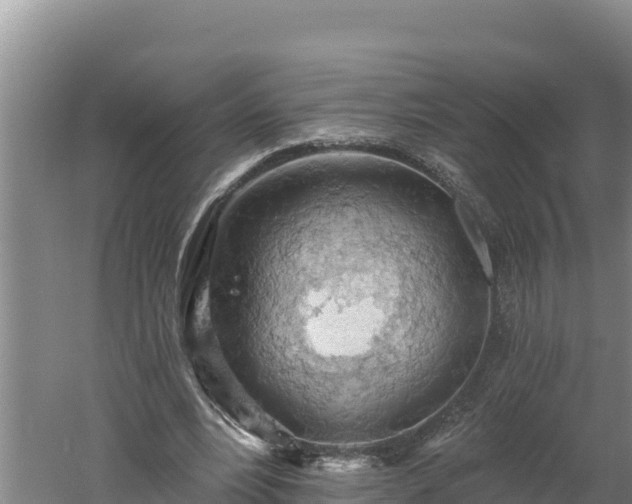 X0000060560488200511101607