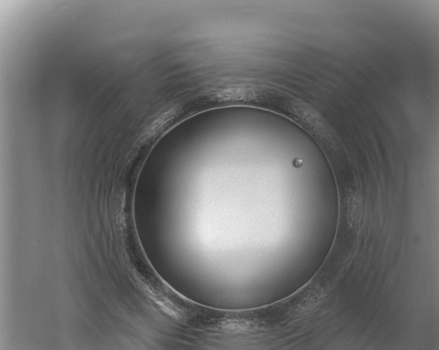 X0000060560490200511101607