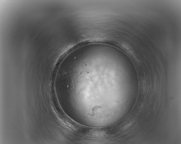 X0000060560491200511101607