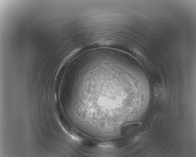 X0000060560492200511101607