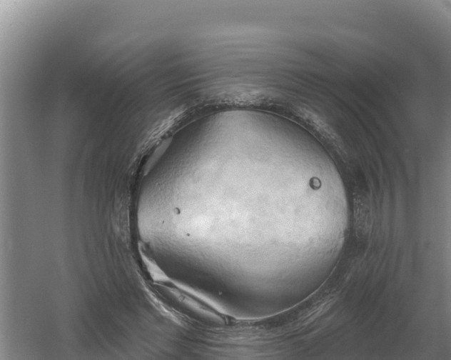 X0000060560493200511101607