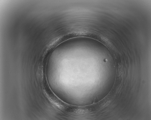 X0000060560494200511101607