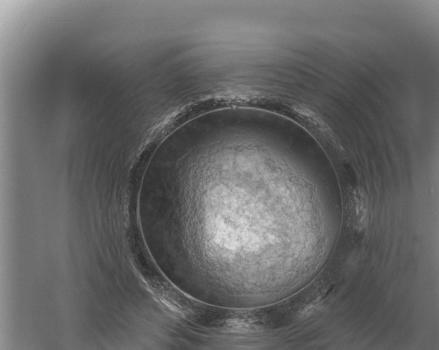 X0000060560496200511101607