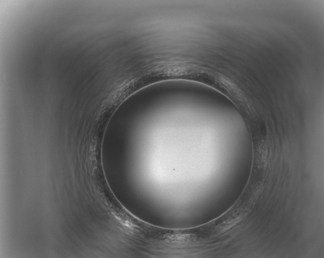 X0000060560497200511101607