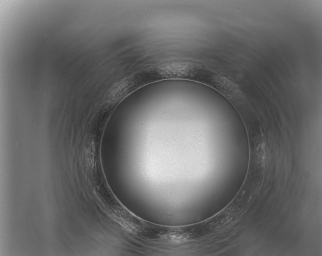 X0000060560498200511101607