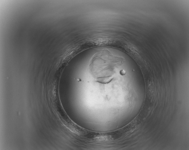 X0000060560499200511101607